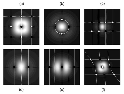 Vortex cluster zoology